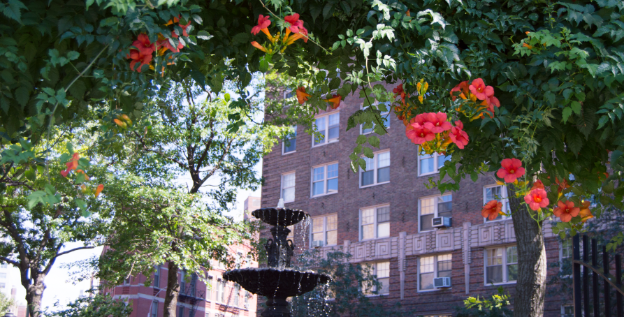 Fountain framed by orange flowers