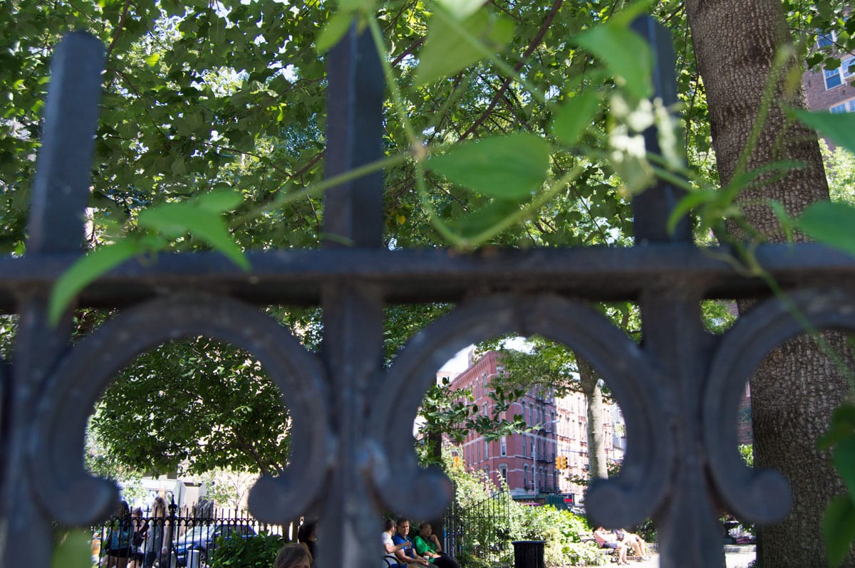 Wrought iron fence with vines at Jackson Square
