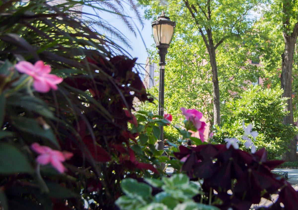 Flowers and lamppost at Jackson Square